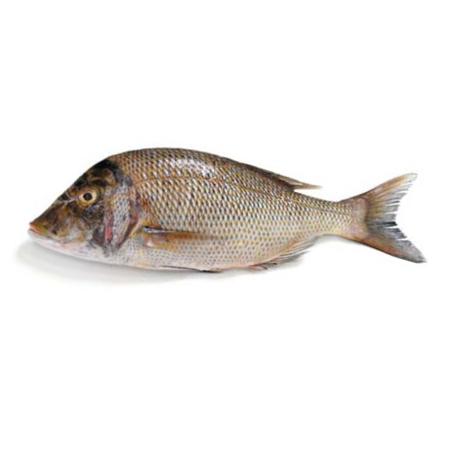 Fresh-Emperor-Fish-Mulla-Fish-for-online-Seafood-Delivery-in-Pakistan-1