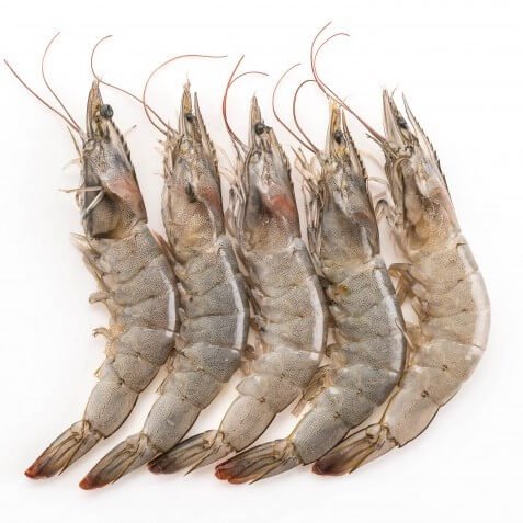 Fresh-Prawns-for-online-seafood-delivery-in-pakistan
